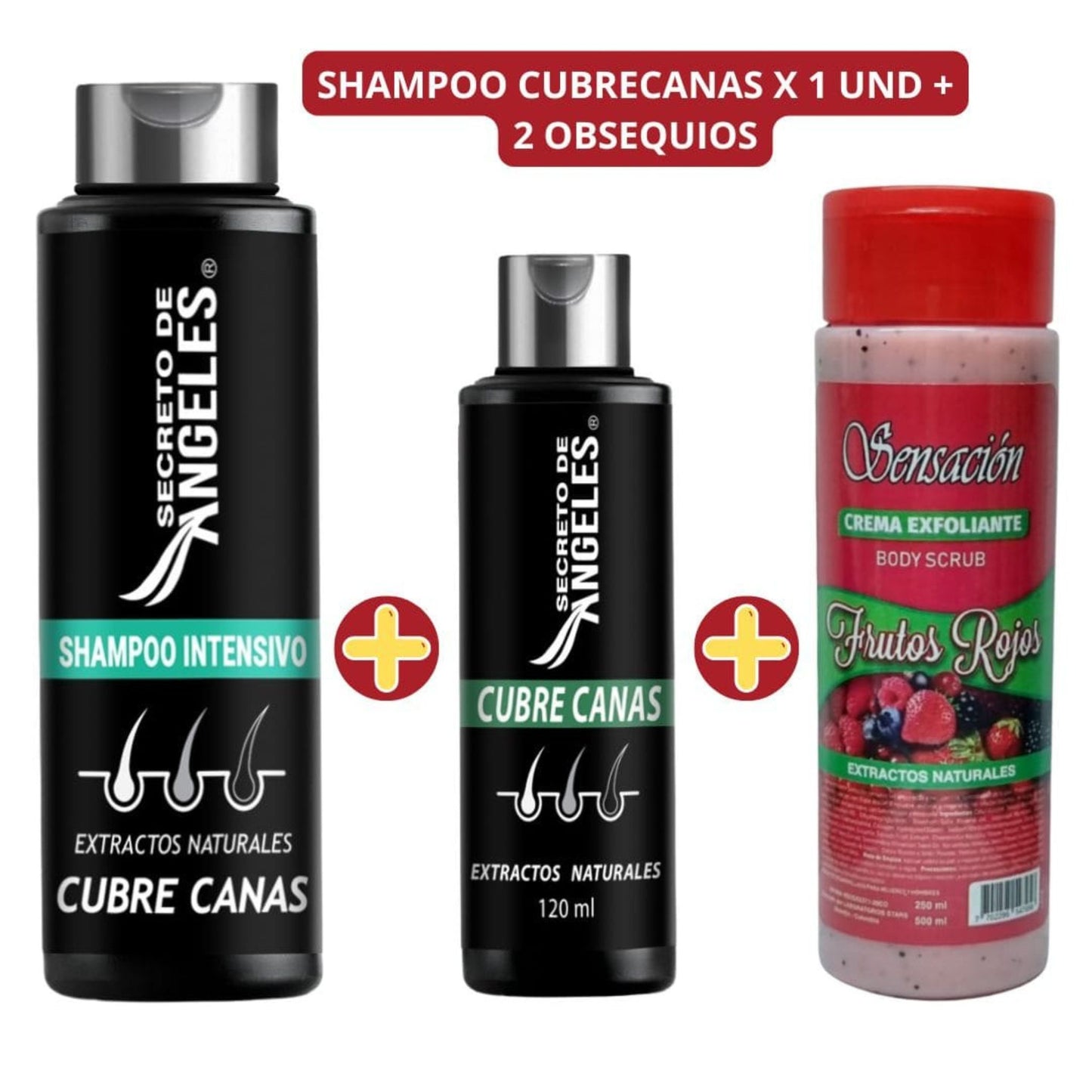 Shampoo Canas Secretox | Tratamiento Capilar con 2 Unidades de Obsequio
