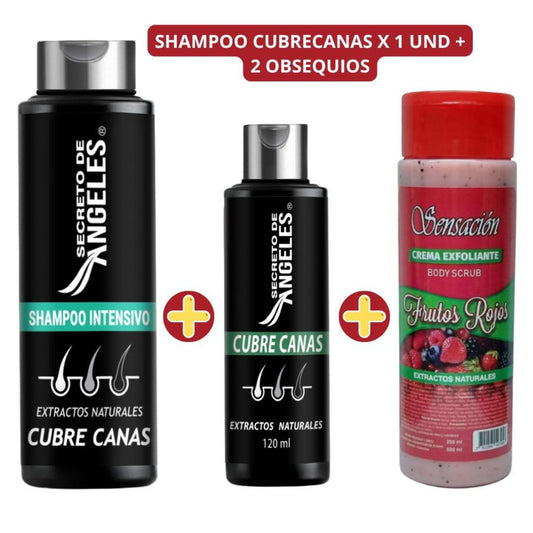 Shampoo Canas Secretox | Tratamiento Capilar con 2 Unidades de Obsequio
